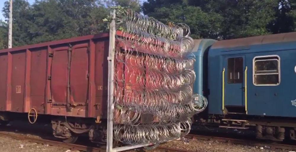 En järnvägsvagn klädd i taggtråd ska hindra flyktingar att ta sig över gränsen i Röszke, Ungern.