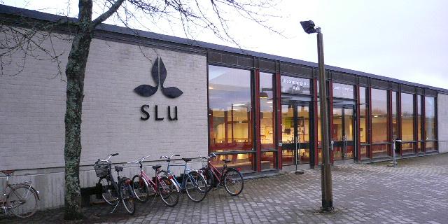 SLU – Sveriges lantbruksuniversitet