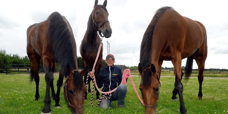 Skötaren Carolin ”Curre” Eliasson” har tre (!) hästar till start i StoChampionatet