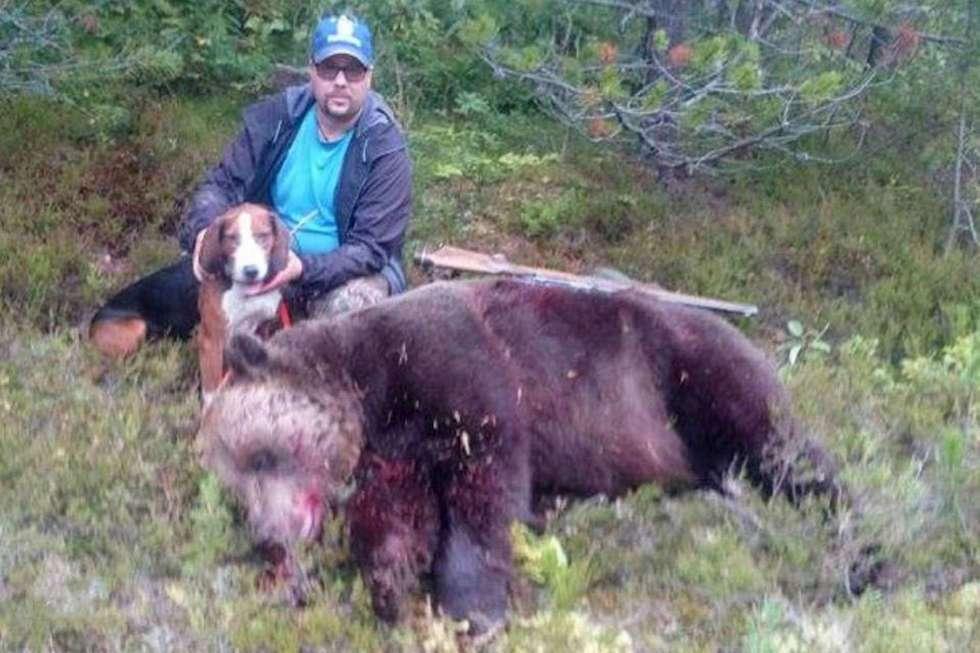 Andreas Lindgren och hunden Bull tillsammans med jättebjörnen på 305 kilo.