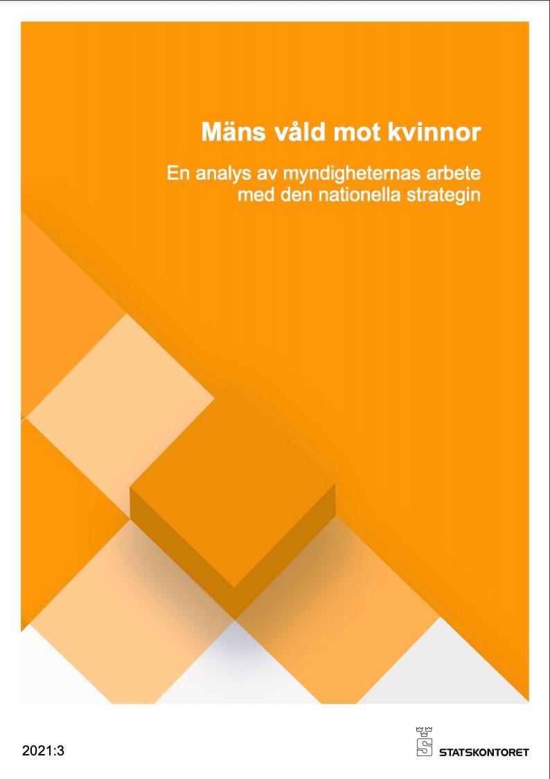 Rapporten "Mäns våld mot kvinnor - en analys av myndigheternas arbete med den nationella strategin".