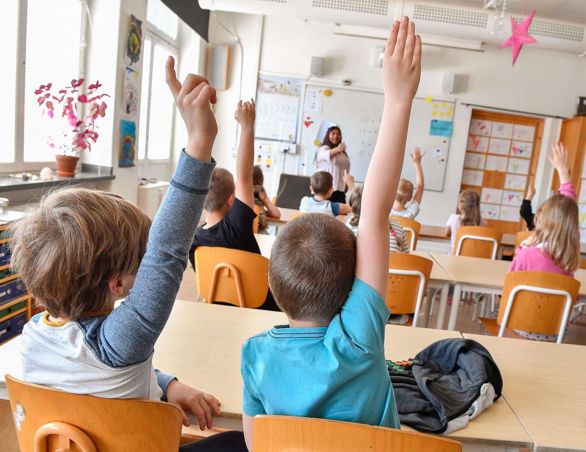 Region Gotland vill locka fler att utbilda sig till grundskolelärare och vill låta studenter arbeta under utbildningen. Arkivbild.