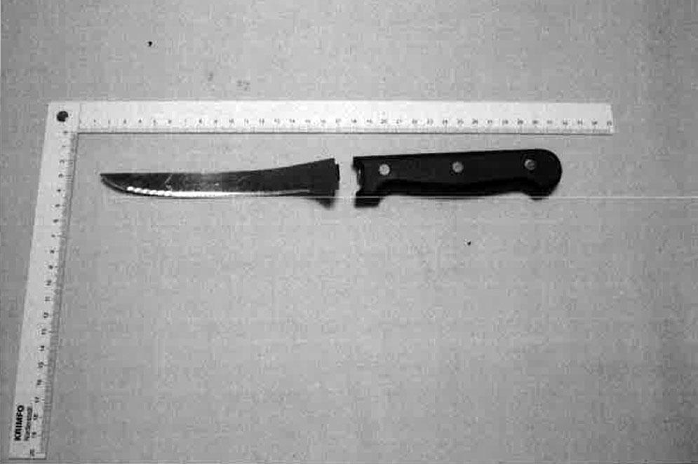 Kvinnan högg mannen flera gånger med en 30 centimeter lång kökskniv, enligt domen.