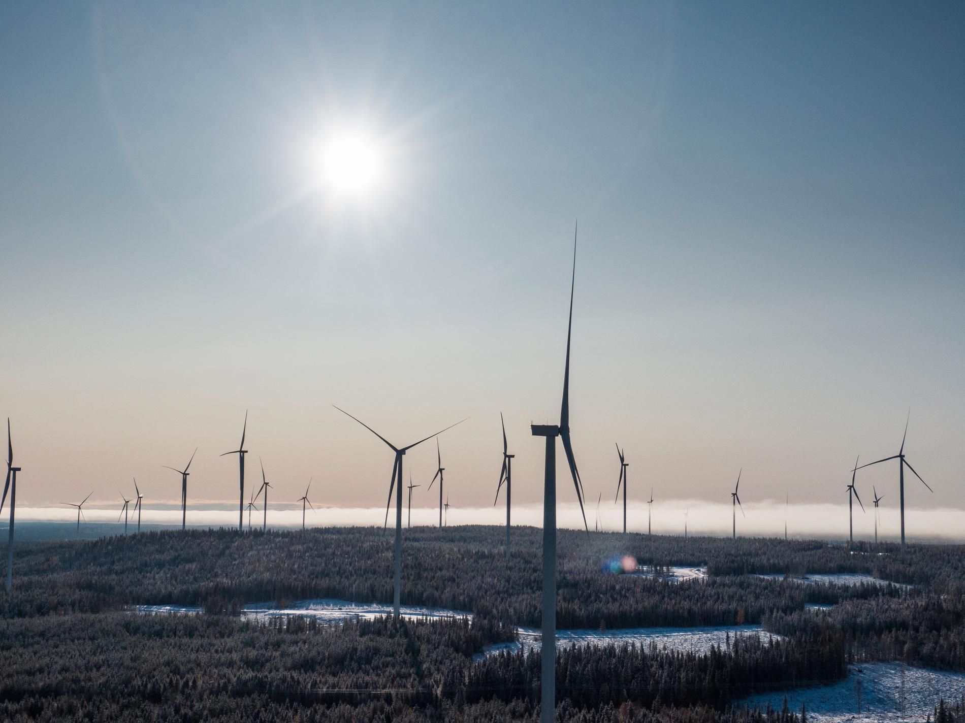 Vindkraften har byggts ut i Sverige. Markbygden 1101 utanför Piteå är Europas största vindkraftspark på land. Arkivbild.