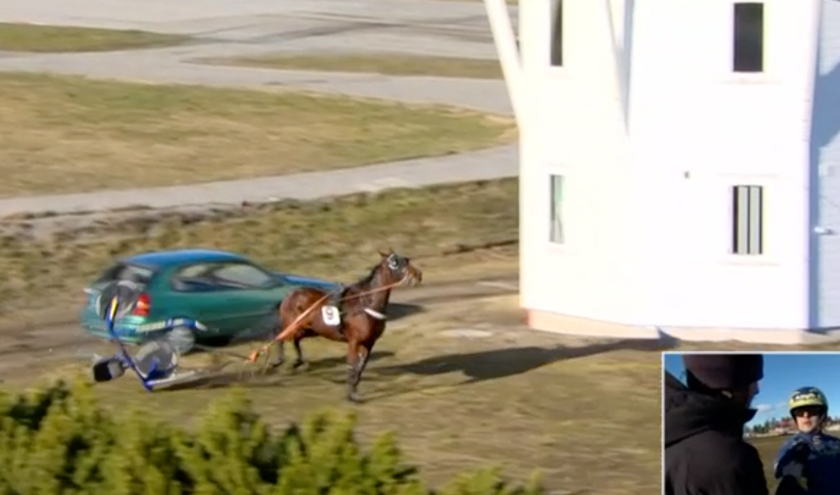 Hästen Nogara kom lös – sulkyn krossade bakrutan på en parkerad bil