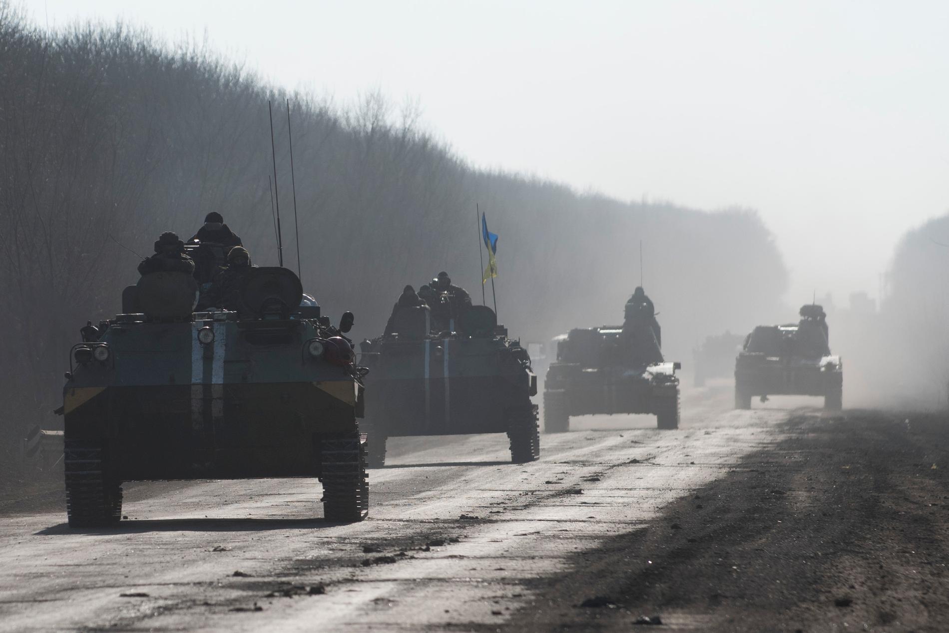 Ukrainskt artilleri. Arkivbild.