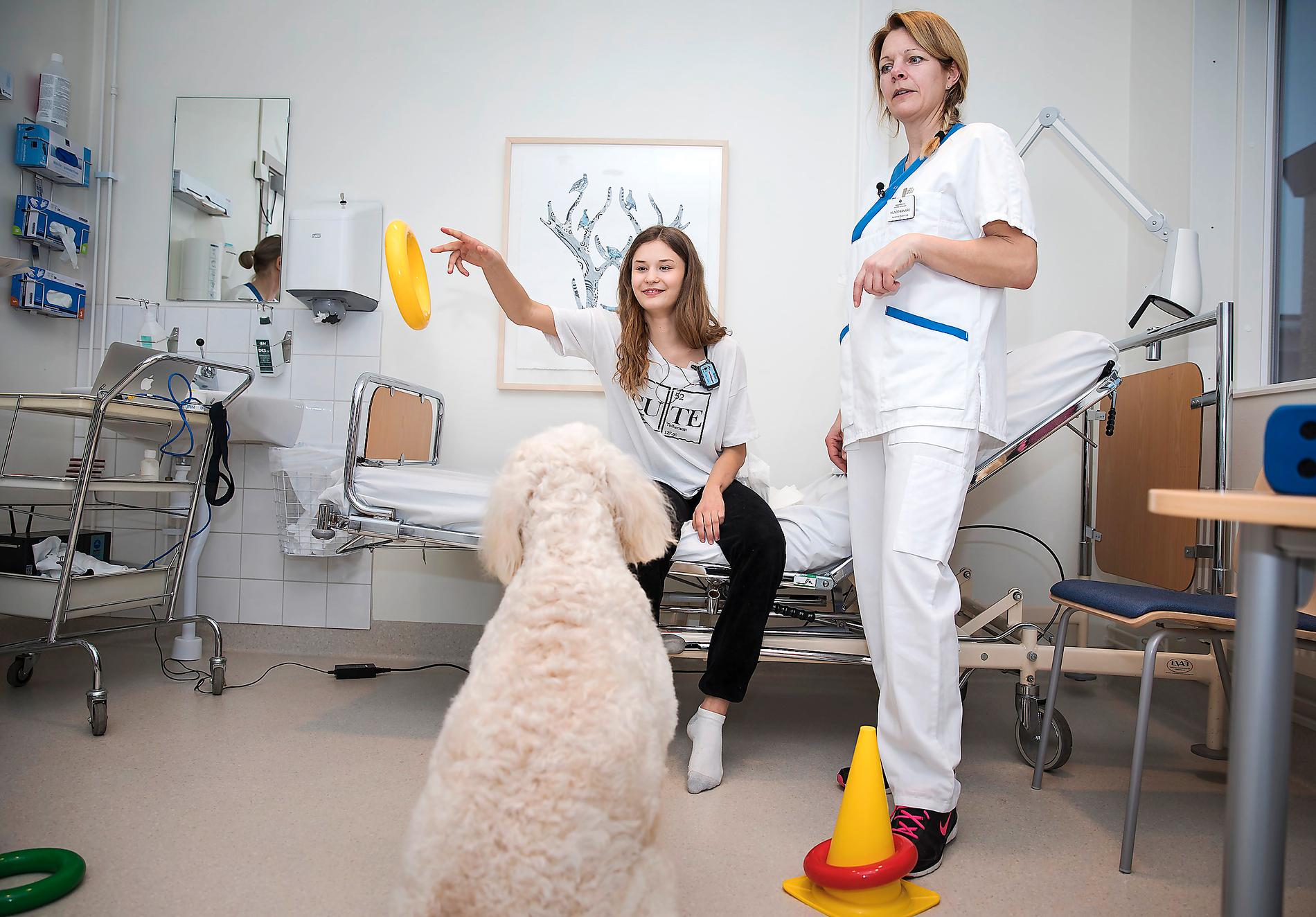 Som terapihund får Livia sin patient Nike att utmana sig själv. Och så har de roligt tillsammans.