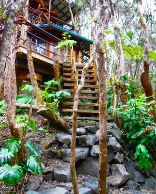 Treehouse at Kilauea Volcano, Big Island, Hawaii Här är en riktig smekmånadsdröm. Om man gillar att bo ett stenkast från en aktiv vulkan, förstås. Den mysiga tvåvåningsträdkojan ligger mitt i regnskogen och har en badtunna på verandan. Den som tröttnar på djungellivet kan promenera till Volcano Village.
Pris: 195 dollar per natt (cirka 1300 kronor), 5460 dollar för en månad (cirka 37 000 kronor).
Kolla efter billiga flygbiljetter till Hawaii här!