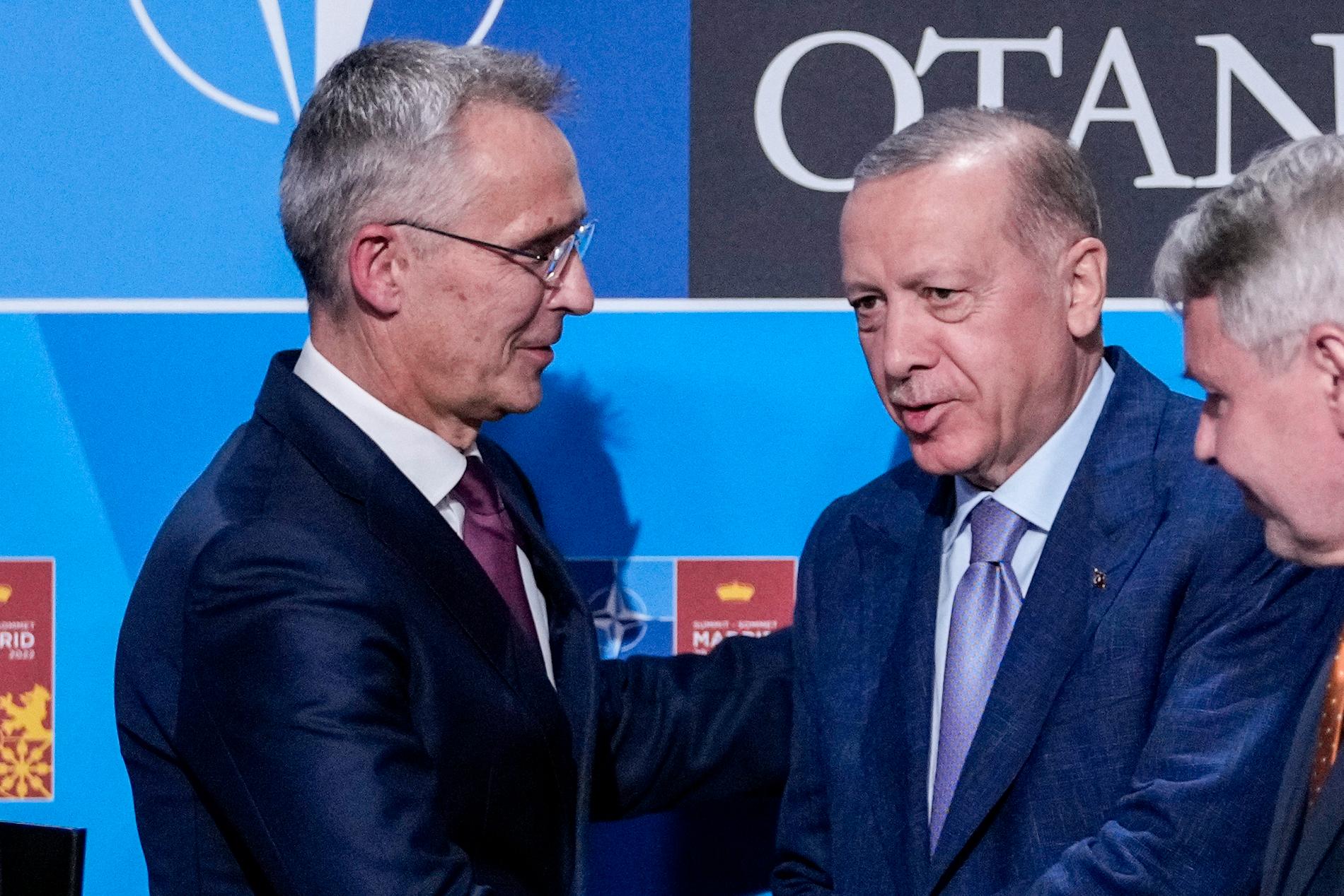 Nato-chefen Stoltenberg och Turkiets president Erdogan. 