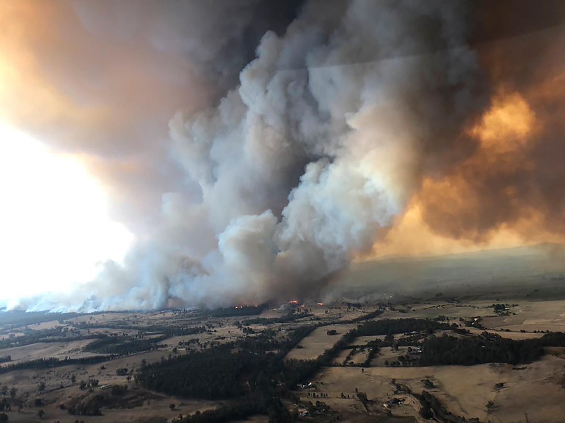 Rök stiger från en skogsbrand vid Bairnsdale i delstaten Victoria I Australien den 30 december i fjol. Rök från bränderna i landet har nu setts över Sydamerika.