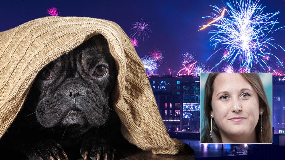 Att fira in det nya året tillsammans med vänner och familj borde vara festligt – mindre festligt blir det för de djur som skräms till följd av fyrverkerier och raketer, skriver Camilla Bergvall, förbundsordförande Djurens Rätt.