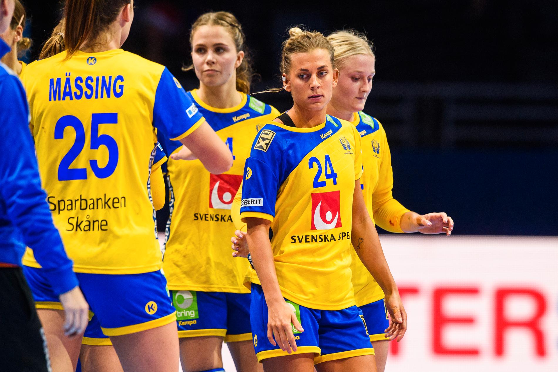 Sveriges match mot Danmark hösten 2018 är en av matcherna som utreds för matchfixning. 