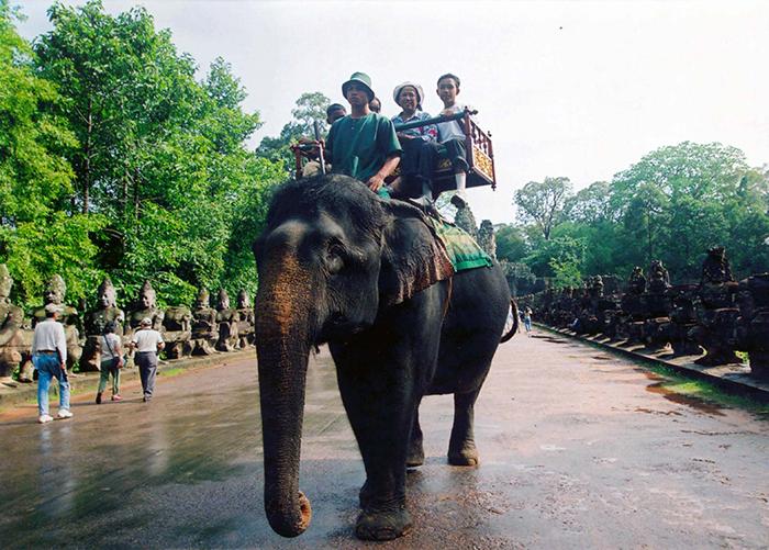 Den populära turistattraktionen elefantridning har en mörk baksida