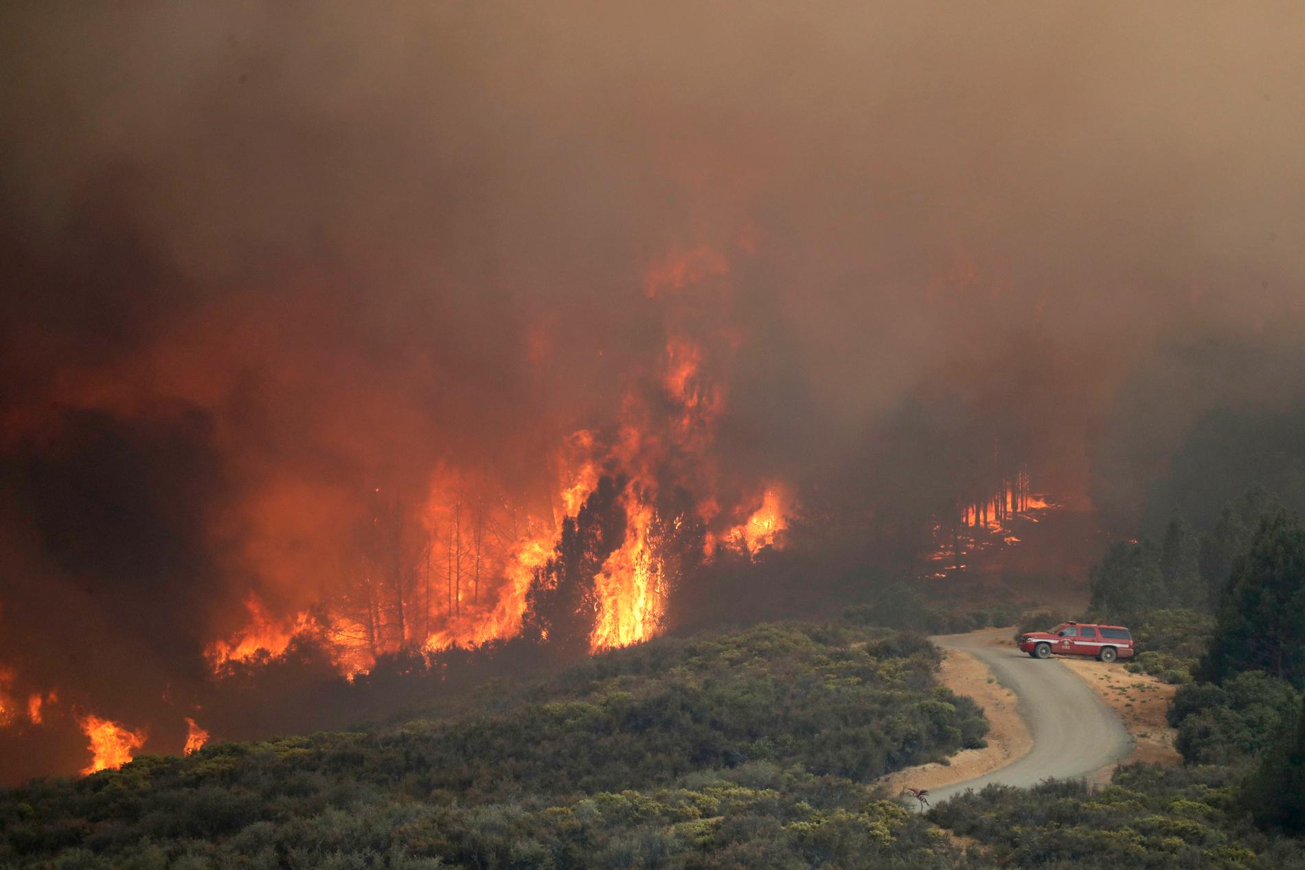 Elden härjar ett område i Kalifornien.