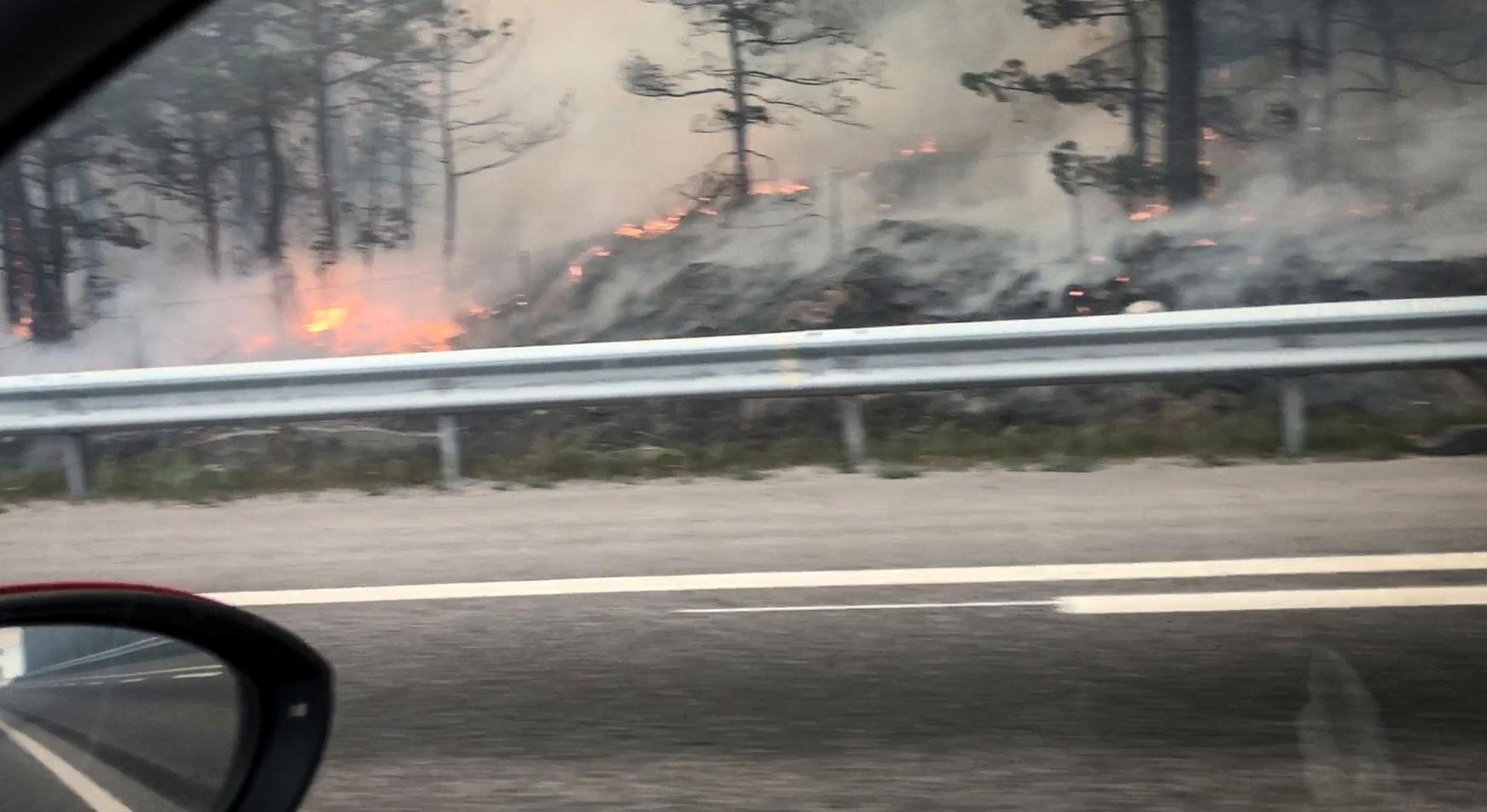 Kraftig brand i ett skogsparti i Nacka utanför Stockholm i juni.