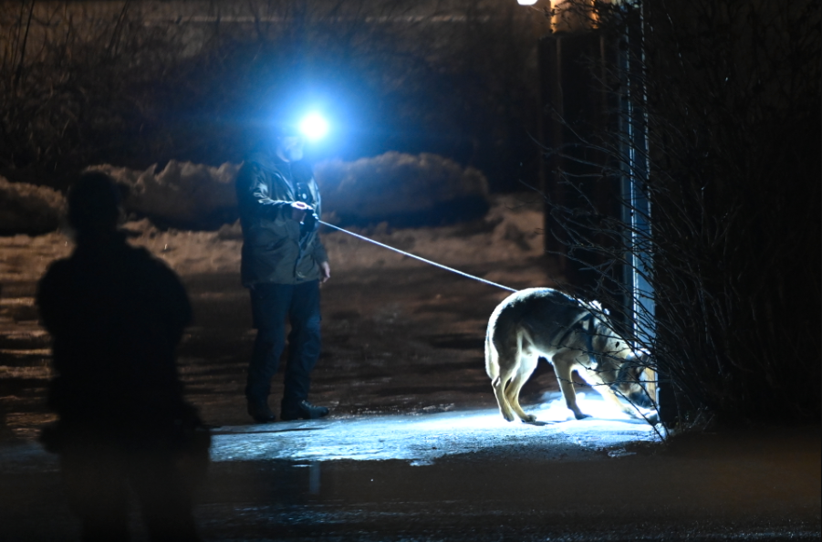 Hundpatruller är på plats i både Rissne och Sätra. Här söker en polishund vid den misstänkta brottsplatsen i Sätra. 