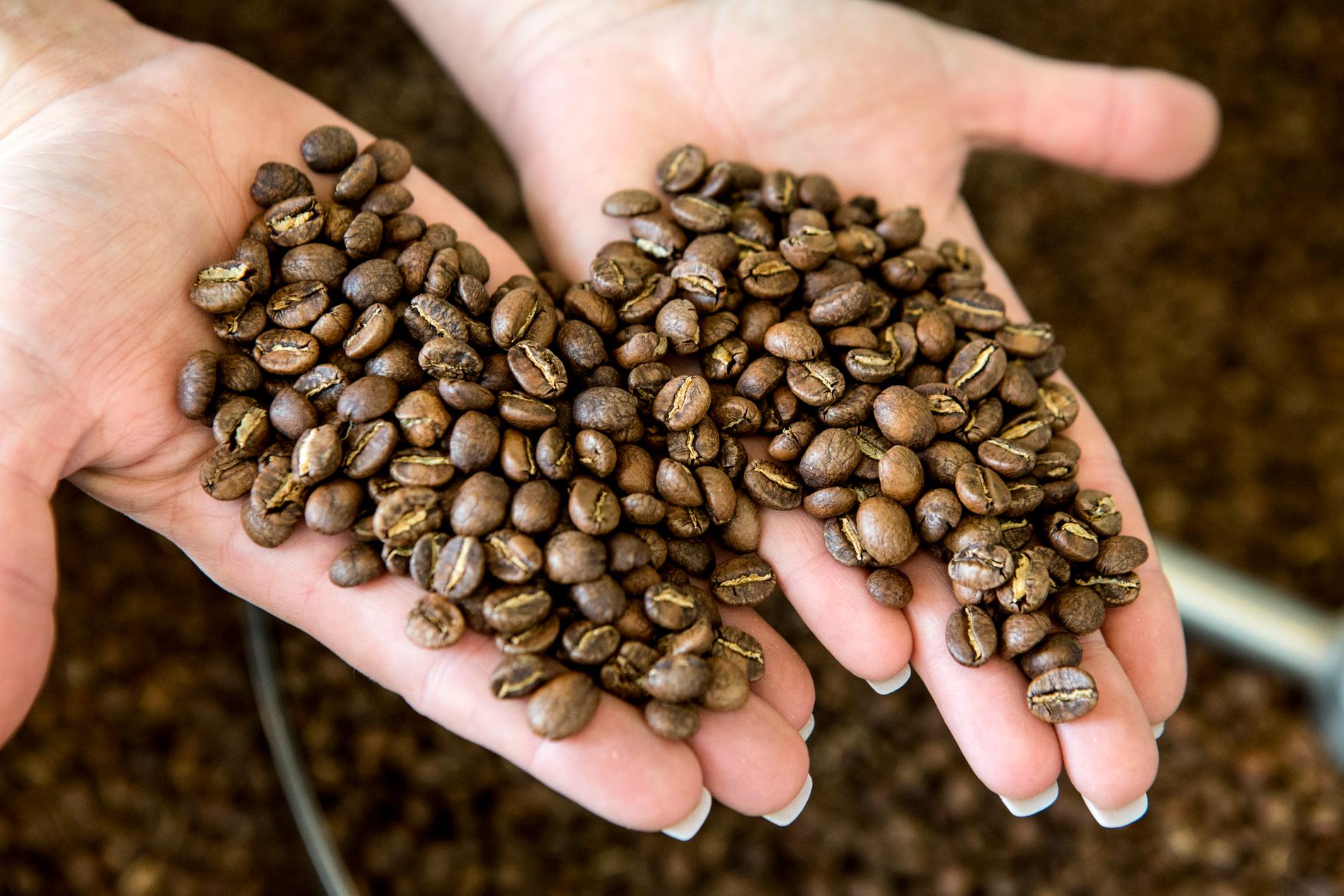 Sverige importerar nästan en tredjedel av kaffet från Brasilien. Arkivbild.