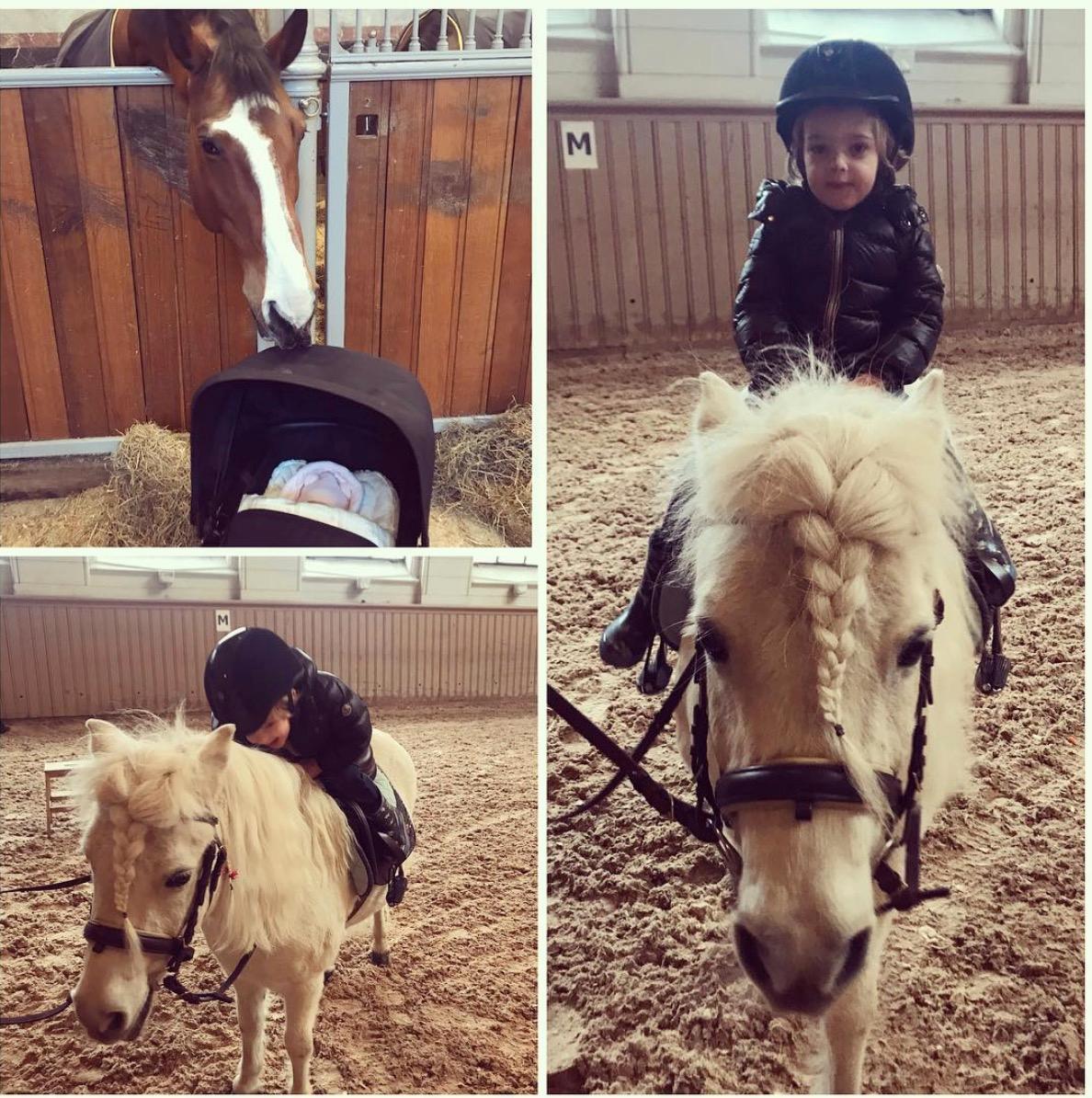 Prinsessan Madeleine delade med sig av hästmyset på Instagram.