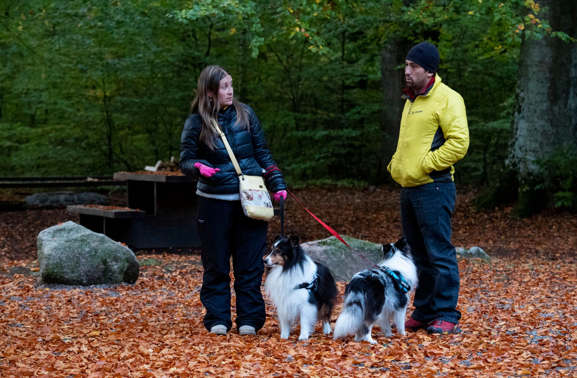Hunden Leelas ägare Yury López och Javier Vega letar tillsammans med sina andra två hundar Azur och Fito i skogen vid Uddarp strax utanför Skepparslöv.