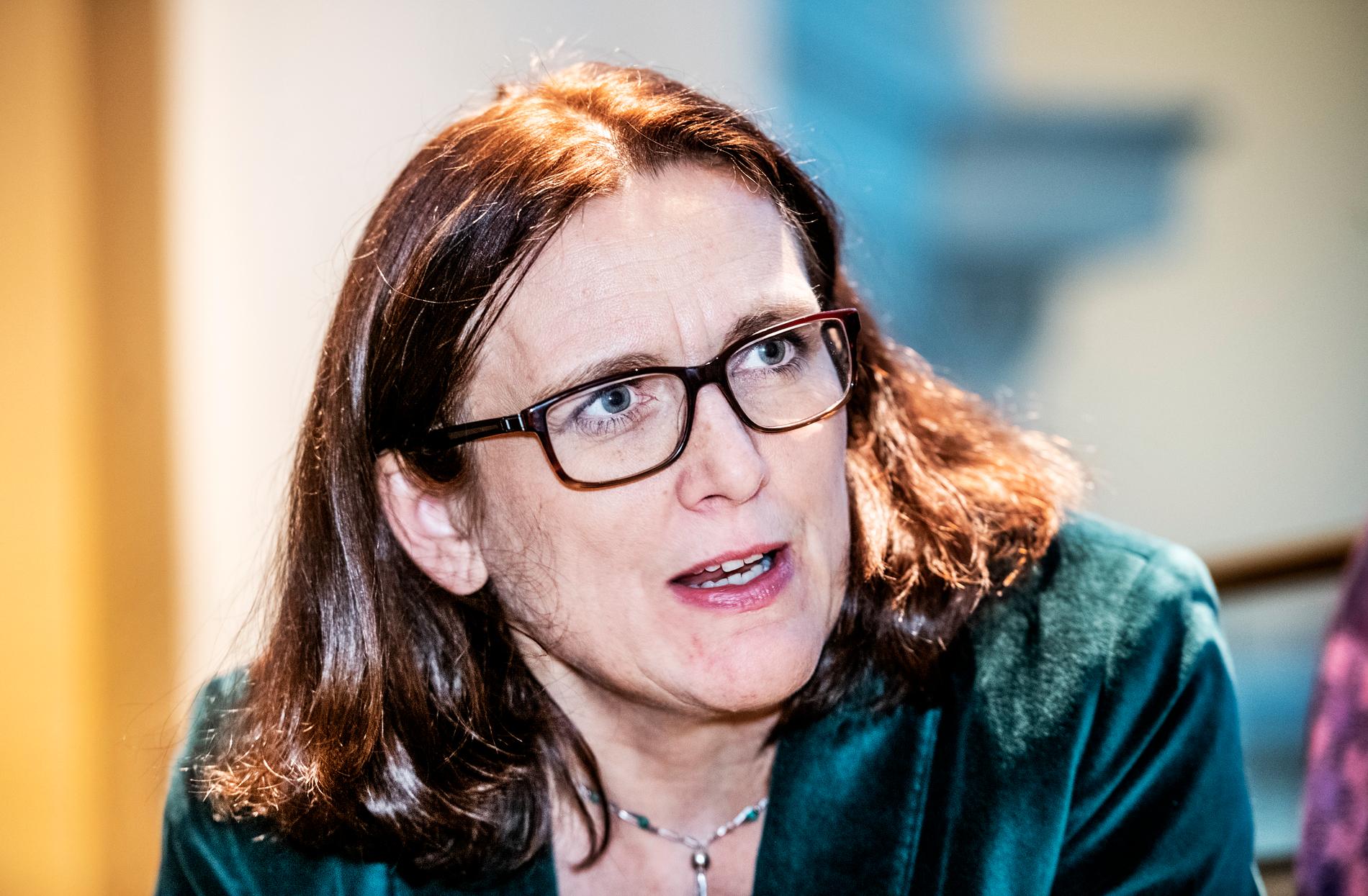 Cecilia Malmström ser en svår väg tillbaka, men utan internationell handel och relationer mellan länder så går det inte. Arkivbild.