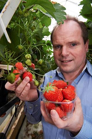 Lars Jacobsen har sålt sina första jordgubbar i år.