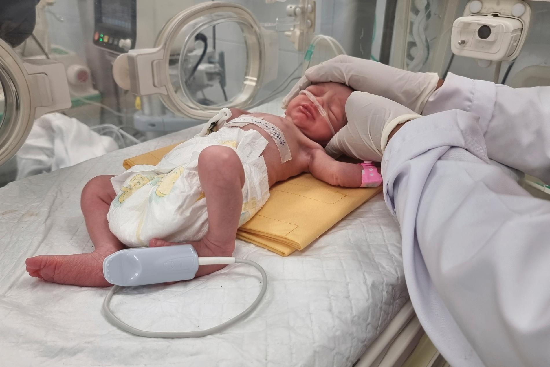 Det nyfödda barnet i en kuvös på Emiratisjukhuset i Rafah.