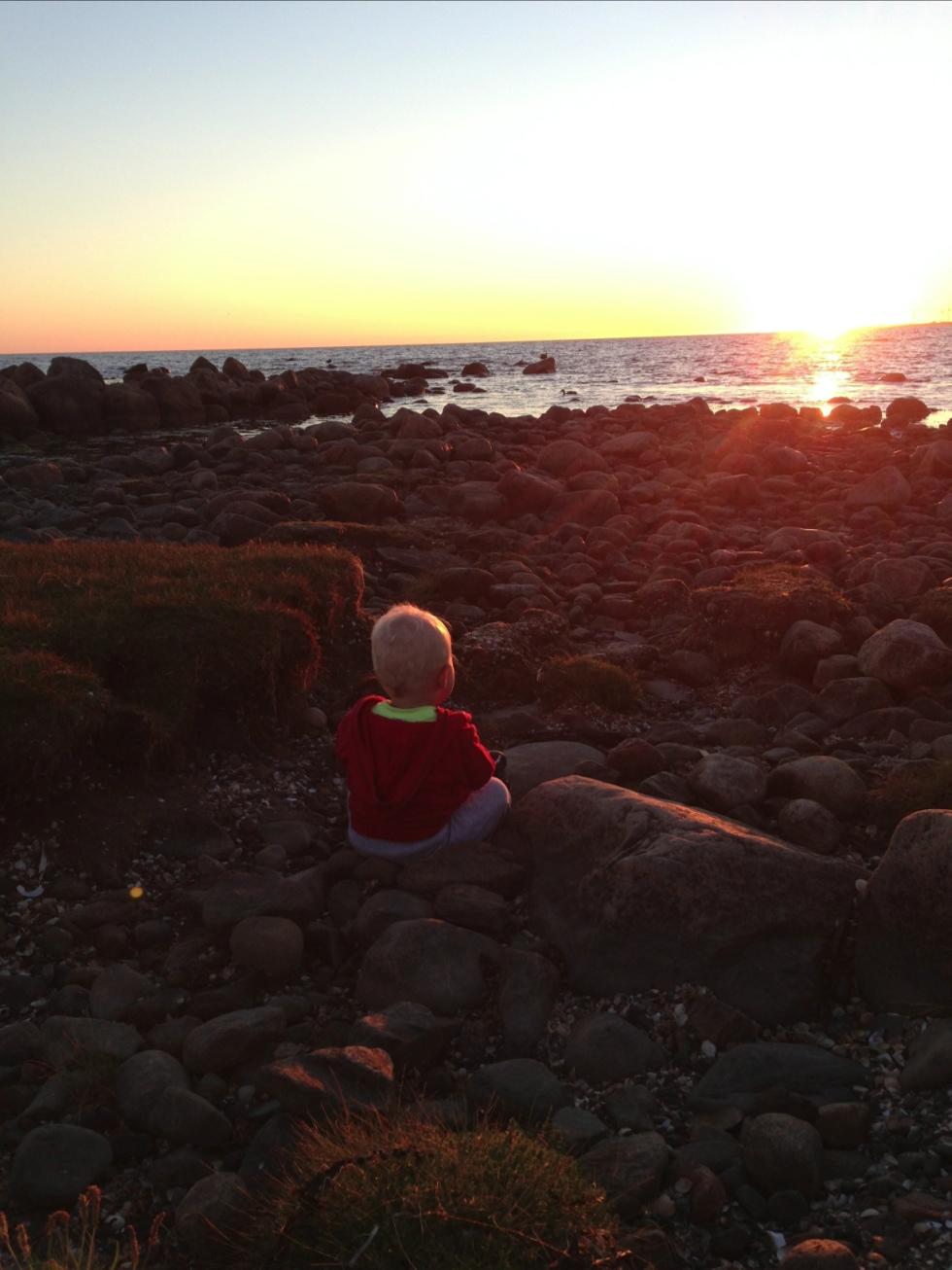 lille Max 1 år tittar på solnedgången i Falkenberg
