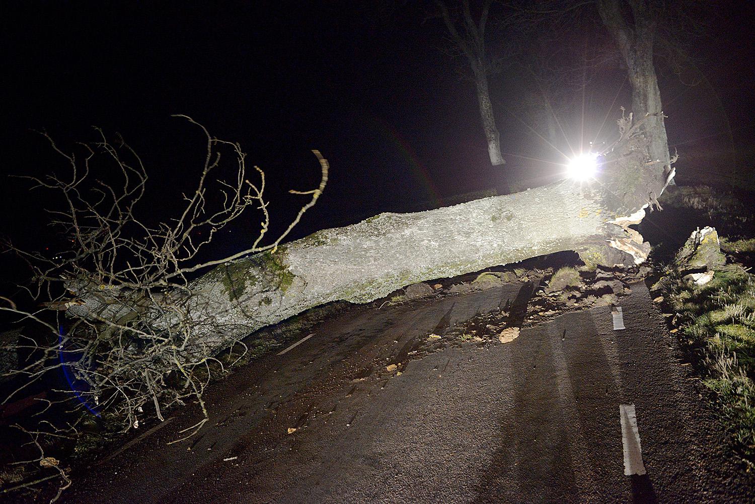 Flera träd blockerar vägen mellan E65 och Sövestad (vägen användes innan stoppet för trafik som inte kan åka på den avstängda E65) norr om Ystad när stormen Sven ökade i styrka på torsdagskvällen.