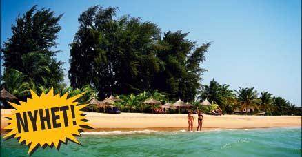 Här i Sely är stränderna långa, vackra och vattnet varmt - häng med till Senegals guldkust.
