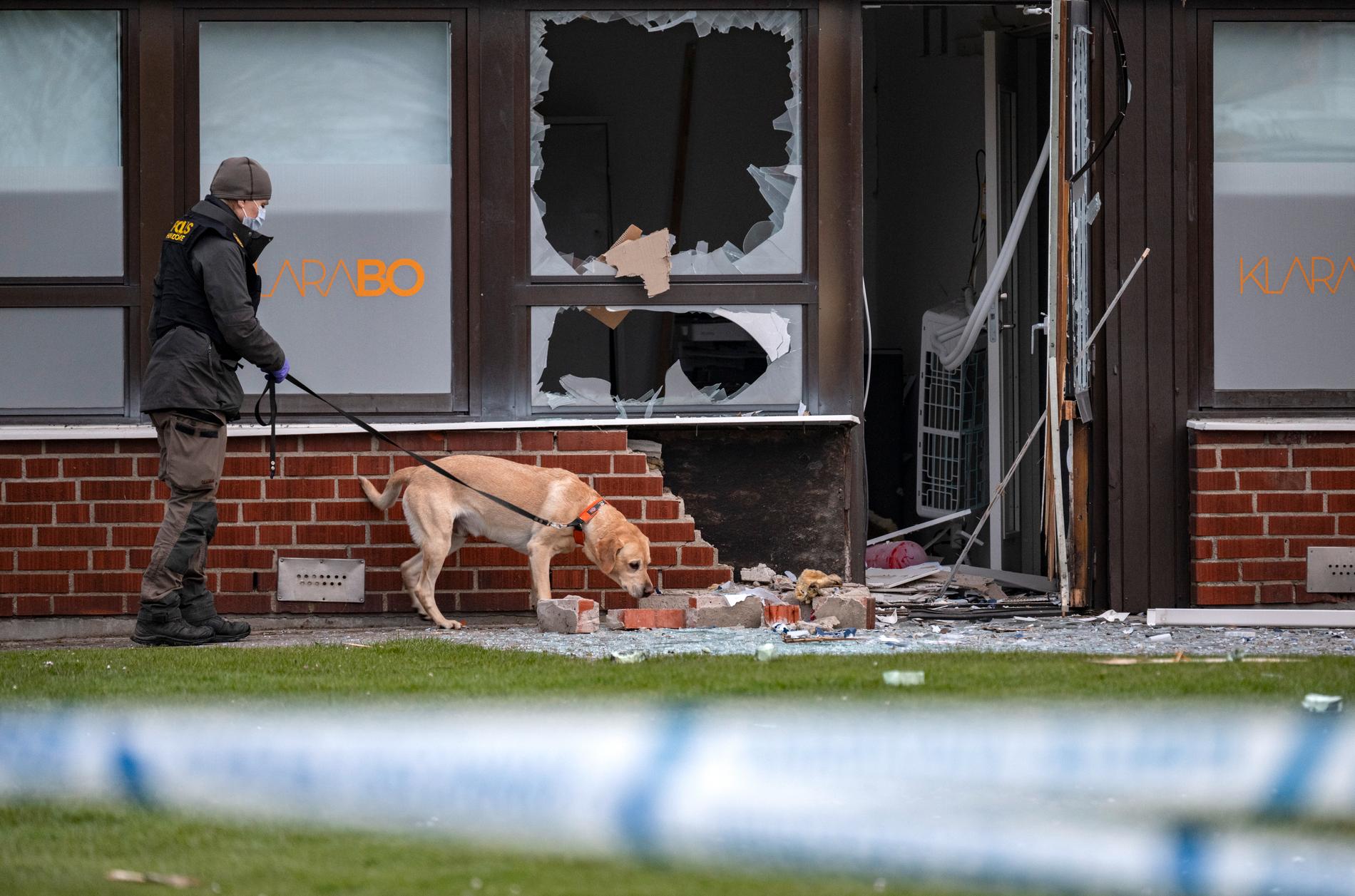 Polis arbetar med specialsökhund efter en explosion vid ett kontor i ett bostadsområde i Trelleborg i mitten av april. Arkivbild.