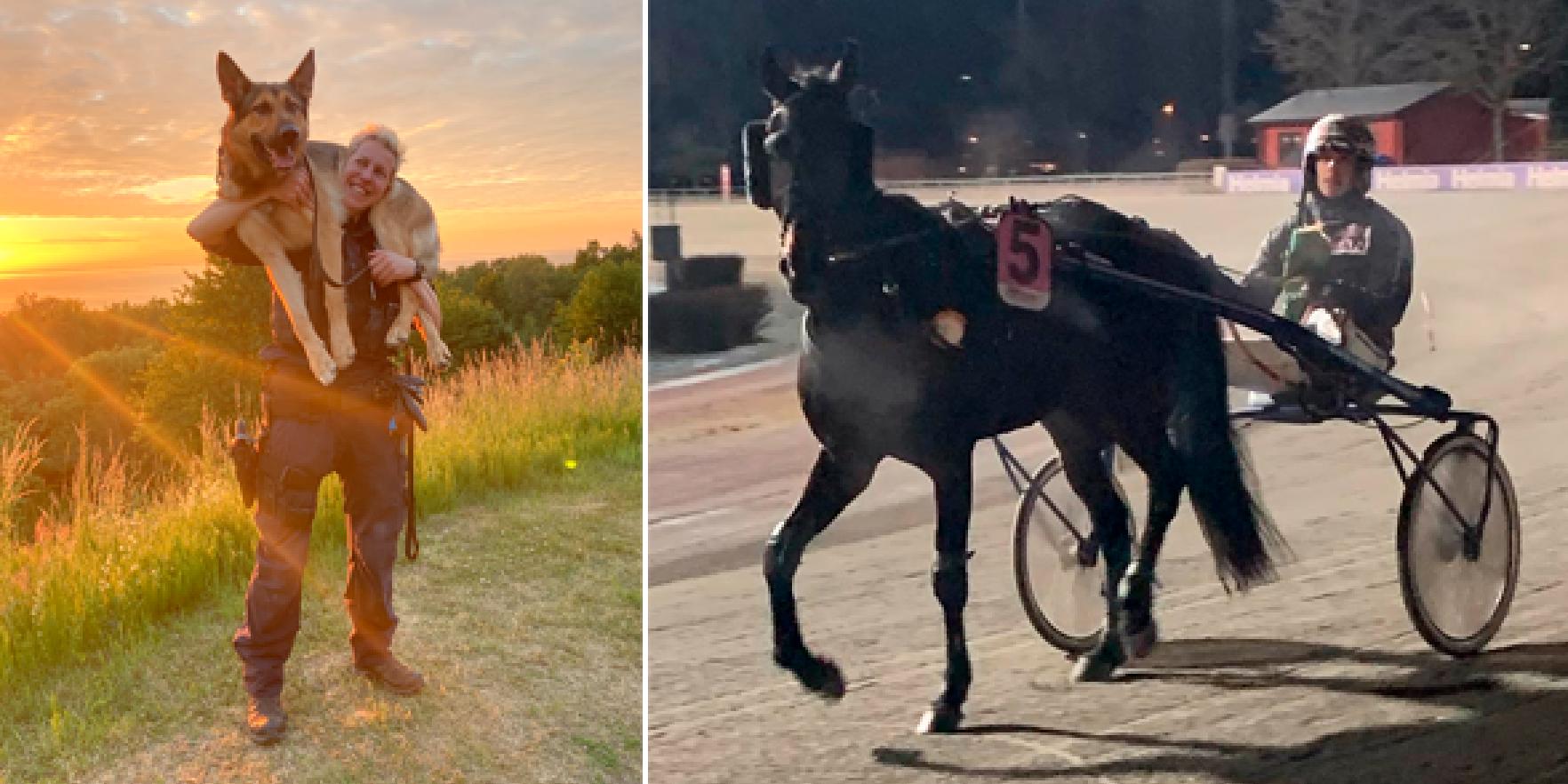 Hundföraren, polisen och travtränaren Frida Berg kan ta en tränarseger på V75 – med hästen Benita Winner. 