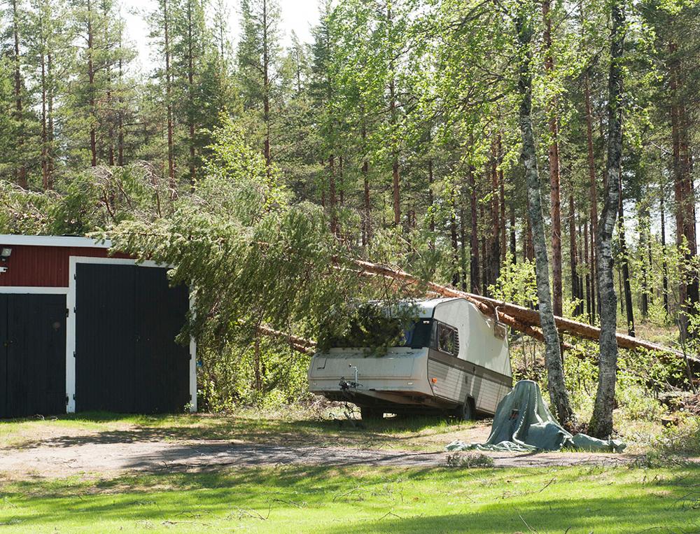 Vid Fromheden i Norsjö, Västerbotten, drog tromben fram och fällde träd.