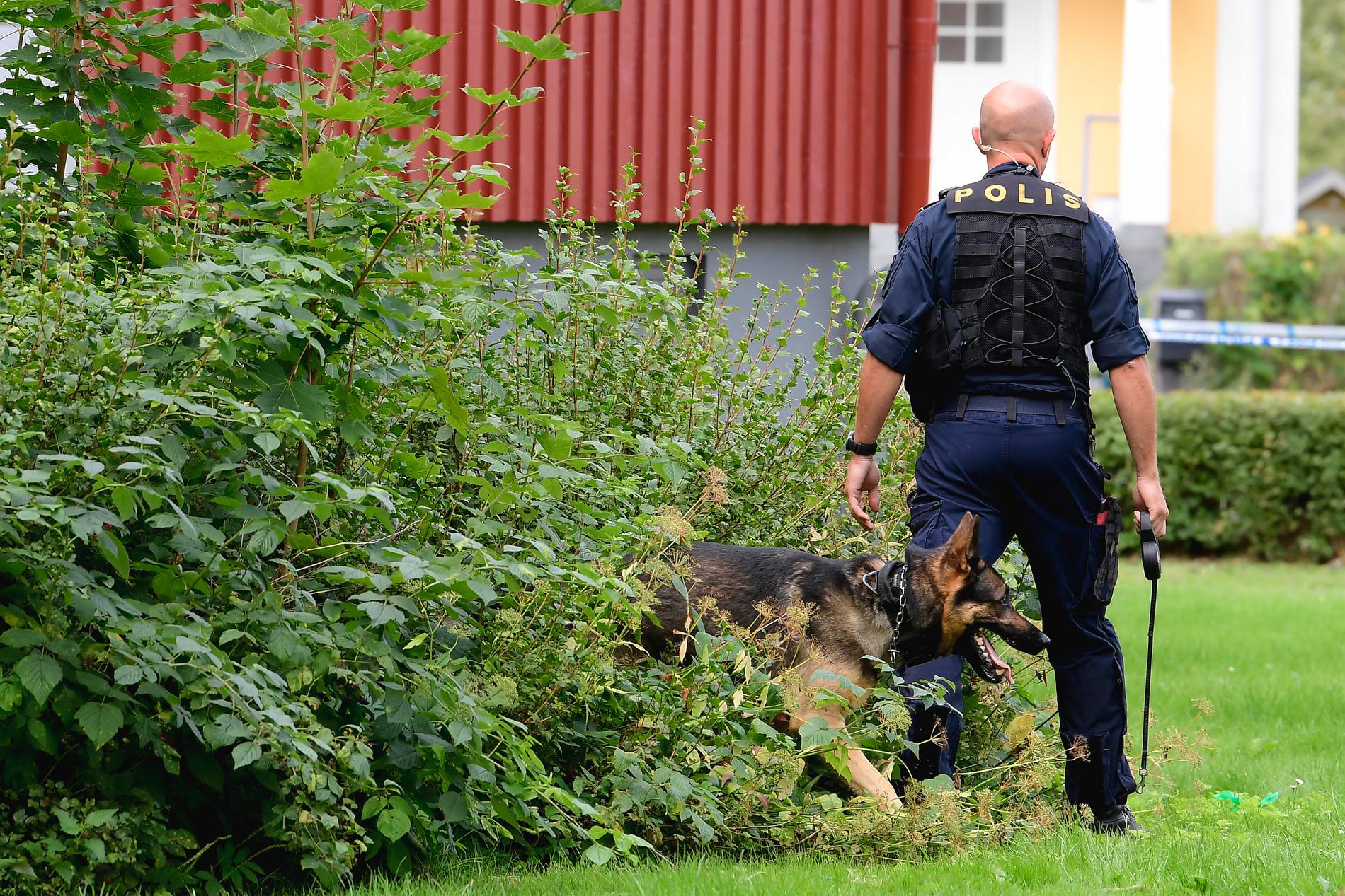 Att i ett tidigt skede använda polishundar har visat sig var en framgångsfaktor för polisens utredningsarbete. Arkivbild.