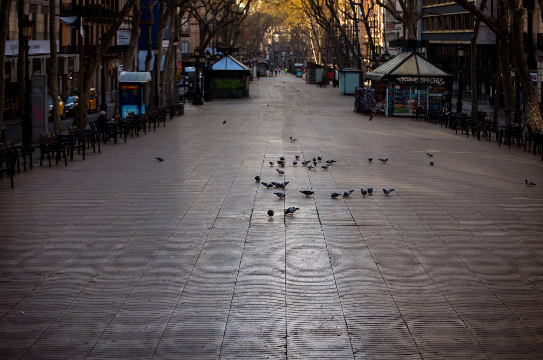 Den som fick böter för att ha brutit mot utegångsförbudet i Spanien i fjol får tillbaka sina pengar. På bilden syns den vanligtvis folktäta turistgatan La Rambla i Barcelona. Arkivbild.