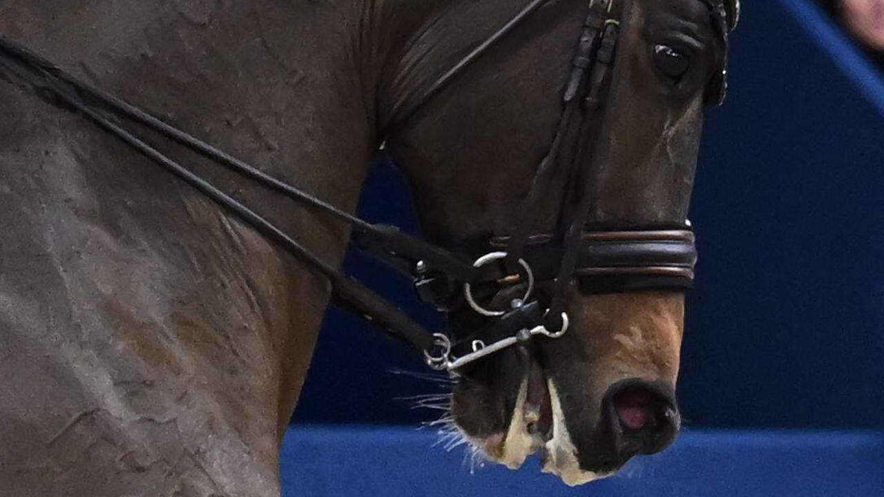 The vets believe that there is high pressure in the mouth of Werth's horse. Therefore it wants to open its mouth.