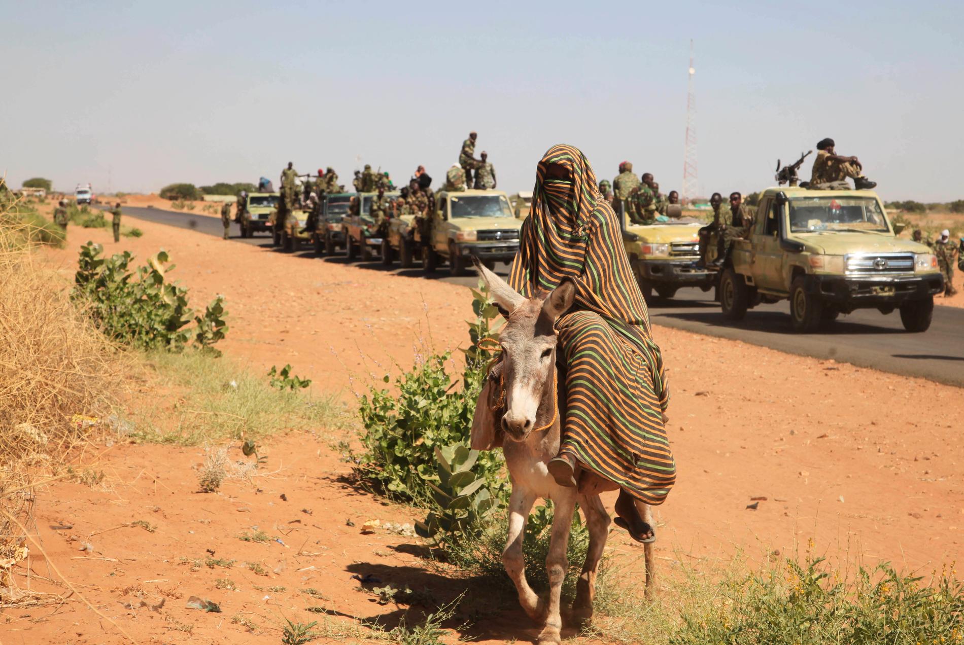 En kvinna på en åsna framför en konvoj av regeringsstyrkor vid byn Tabit i norra Darfur.