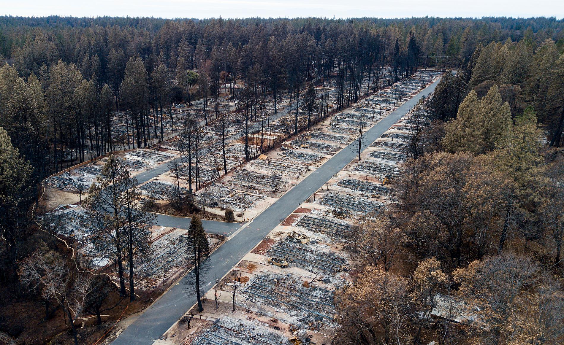 Ett bostadsområde i Paradise i nordöstra Kalifornien som slukades av Camp Fire-eldens lådor i höstas.