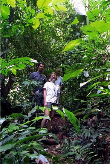 Per Lundén och Åsa Böös lämnade Phuket för några dagar i ångande regnskog.