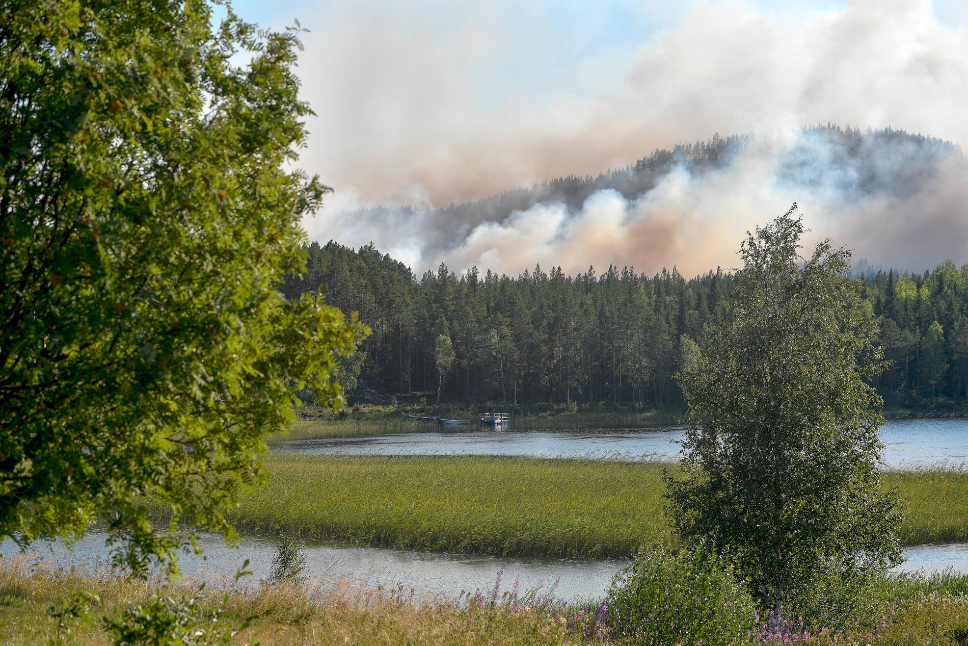 Skogsbranden i Enskogen utanför Ljusdal var en av sommarens största.