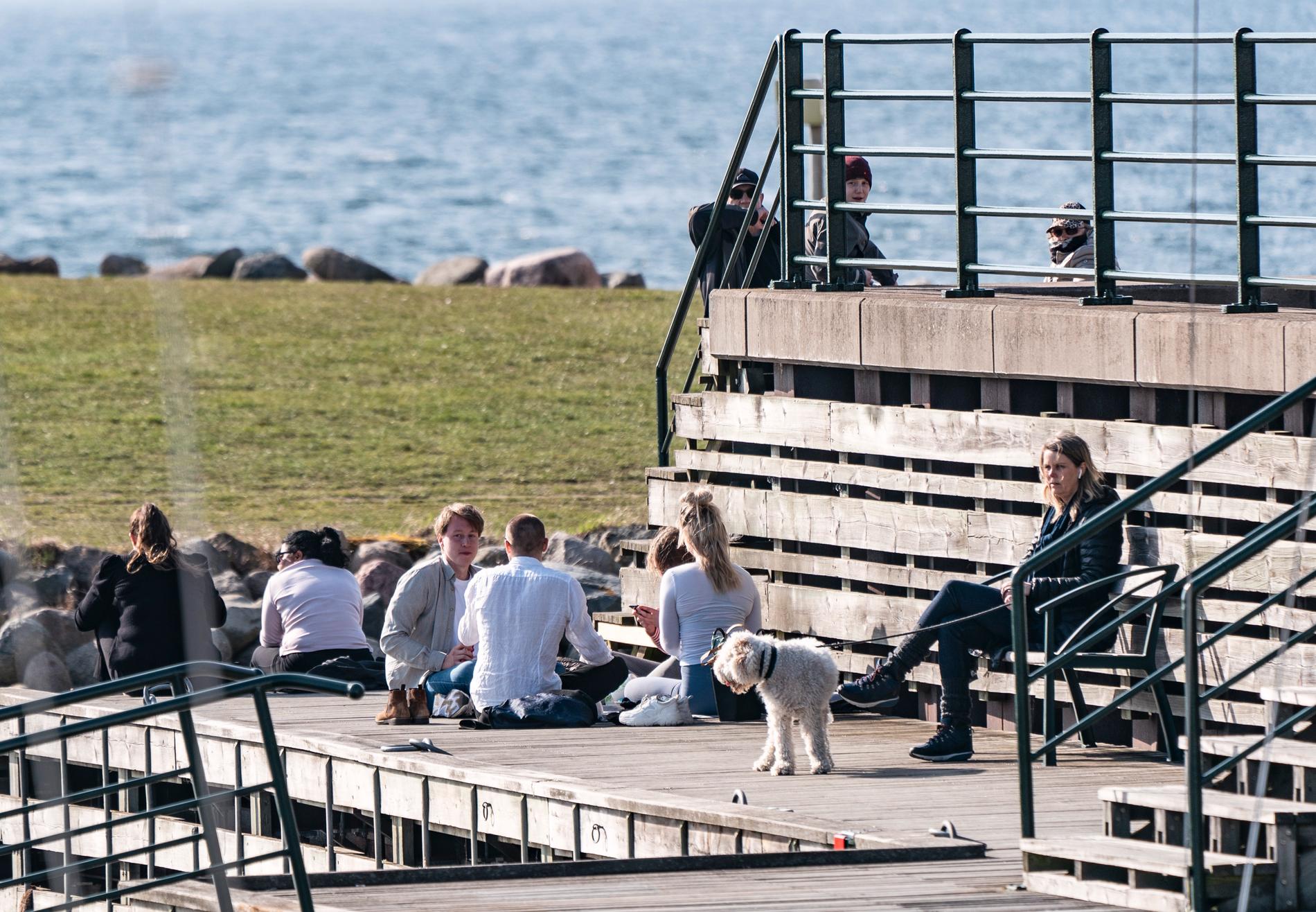 En plats i solen på vid Sundspromenaden i Västra Hamnen när temperaturen hamnade runt 15-graderstrecket i slutet av mars i år.
