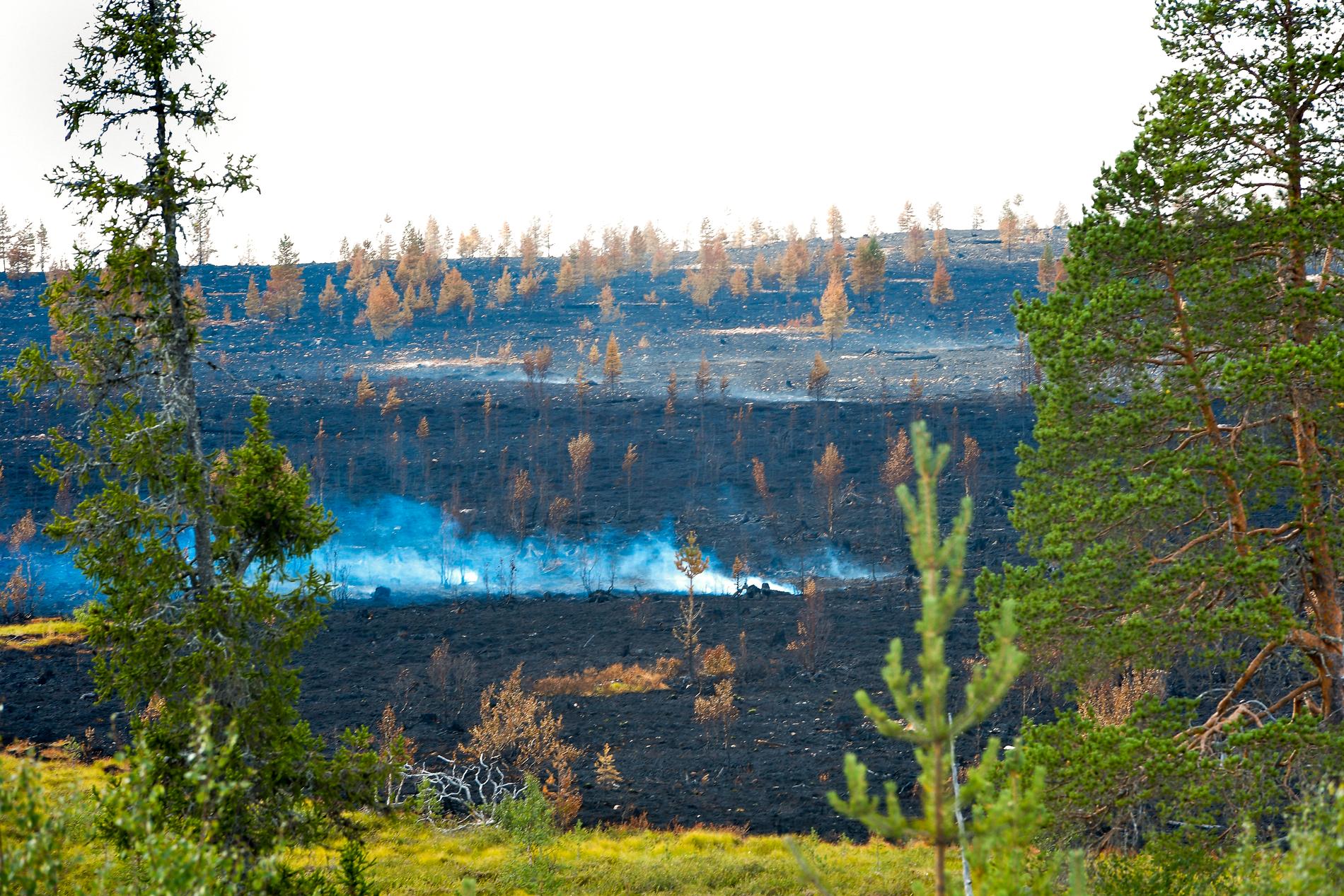 Brandhärjade Älvdalens skjutfält vid Trängslet.