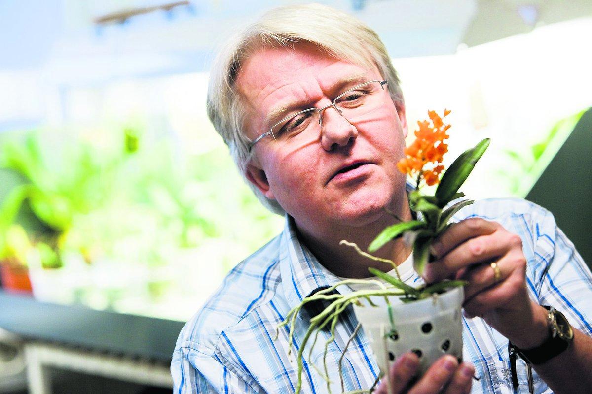 Per-Anders Viebke undervisar om orkidéer och tycker att hans ämne är högst akademiskt.