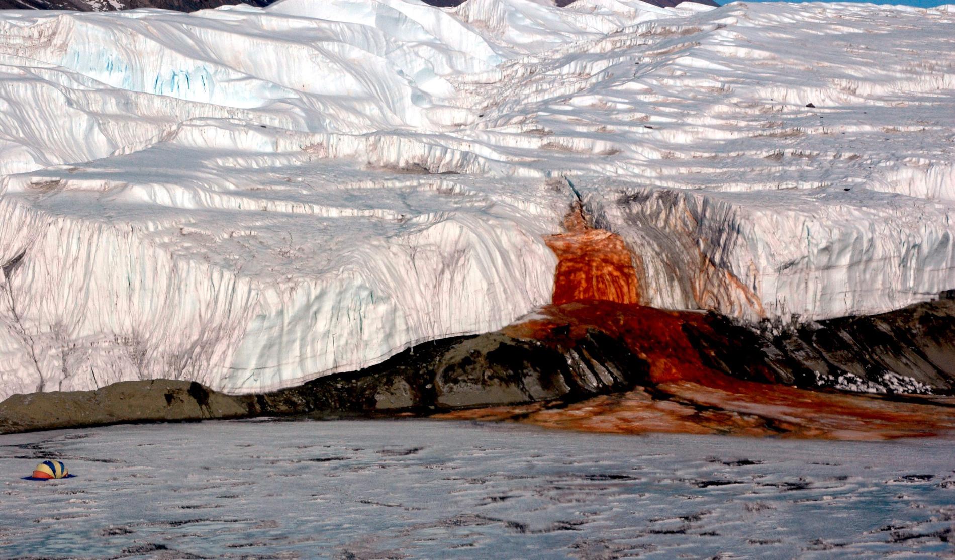 McMurdos torrdalar på Antarktis är ett av världens mest extrema ökenområden. Men under den snustorra ytan finns vatten. Massor av vatten.
Regionen är känd för det skrämmande naturfenomenet "Blood falls", eller blodforsen.
Blodröd sörja forsar fram ur glaciären som om den skulle blöda.