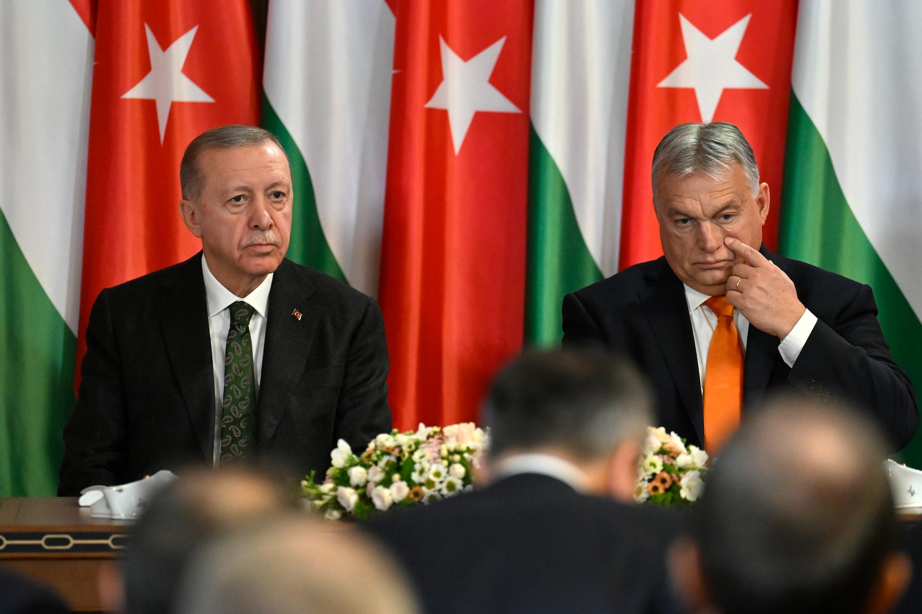 Turkiets president Erdogan och Ungerns premiärminister Orbán vid ett tidigare möte, i Budapest i december.
