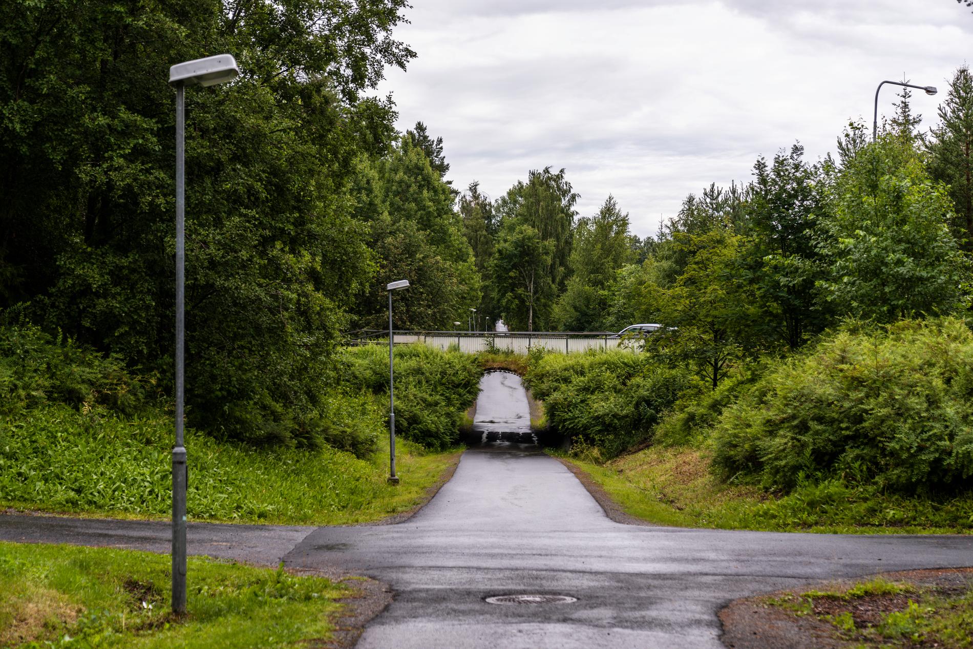 En cykelväg och tunnel i närheten av Morö Backe skola där den minderårig flickan överfölls i somras. Arkivbild.