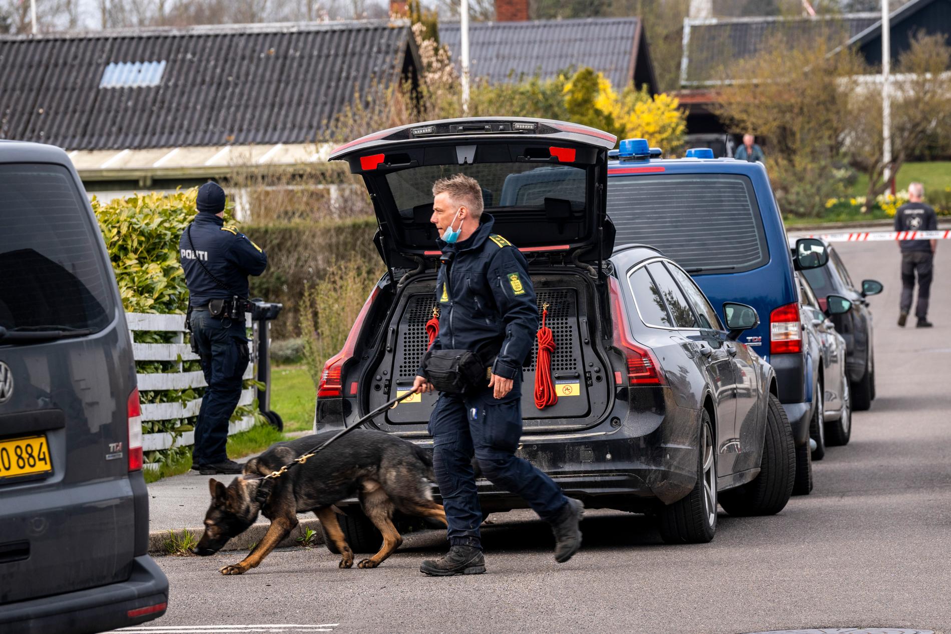 En polis med hund.
