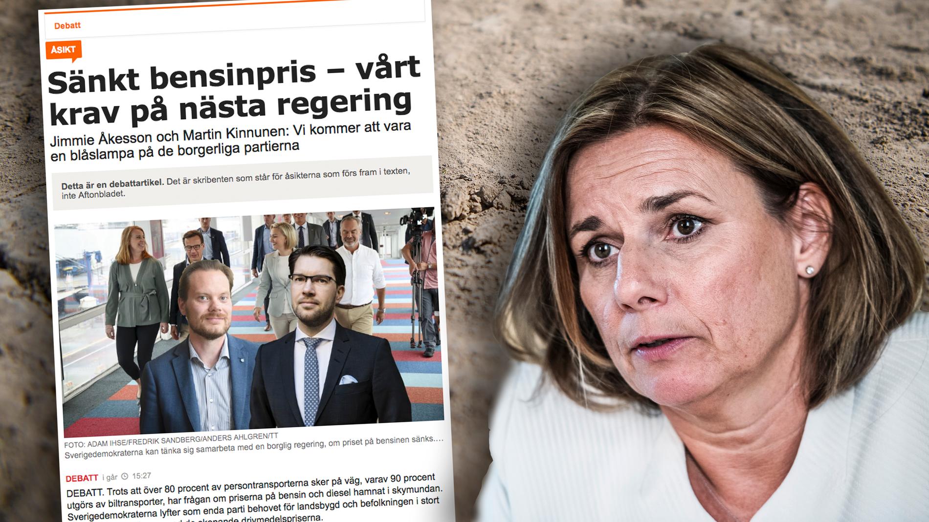  Den som lägger sin röst på Sverigedemokraterna lägger sin röst på mer extremväder, torka, skyfall, översvämningar, värmeböljor, hunger och flyktingströmmar, skriver Isabella Lövin