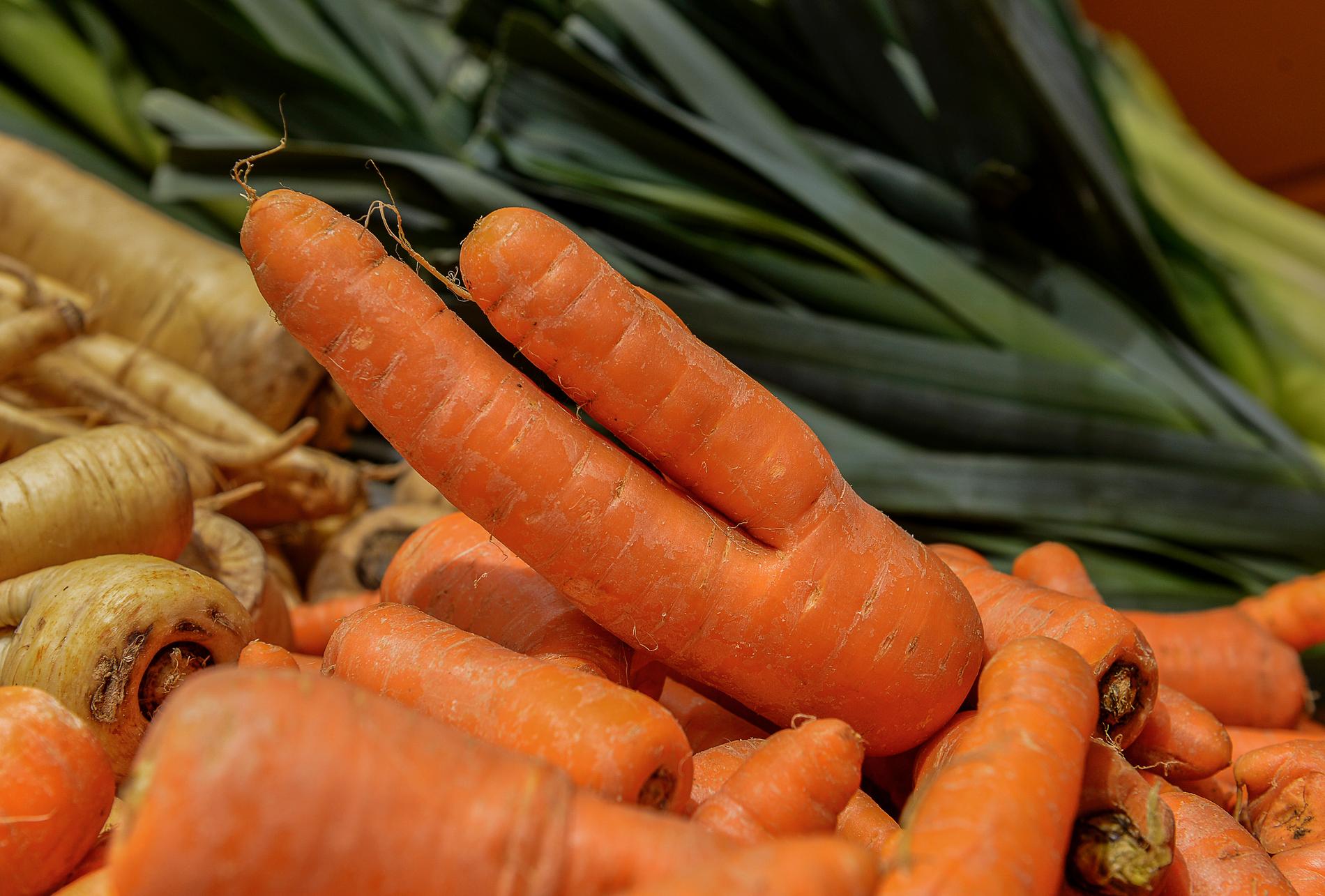 Fula och missbildade grönsaker ratas ofta av konsumenter men är för det mesta lika ätliga som de fina. 