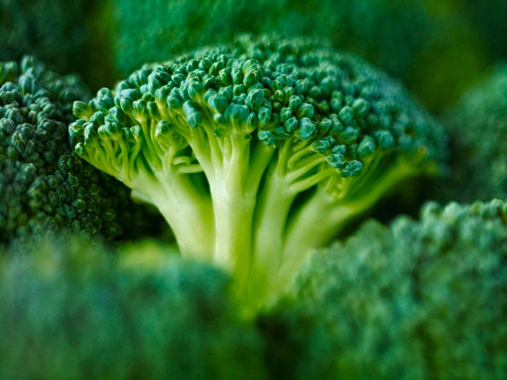 Broccoli är en grönsak som är fullproppad med nyttigheter – toppen att ta en extra portion av på tallriken.