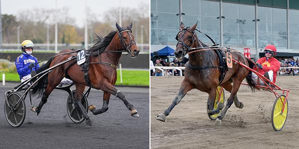 San Moteur och Joviality är nominerade till titeln Årets Häst 2023 på Hästgalan den 9 februari på Clarion Hotel Post i Göteborg. 